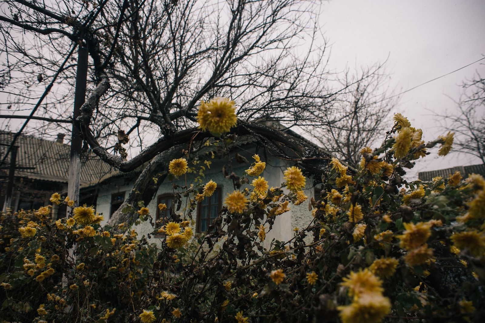 Arik Shraga. Humanitarian Photography. Ukraine, Odessa region